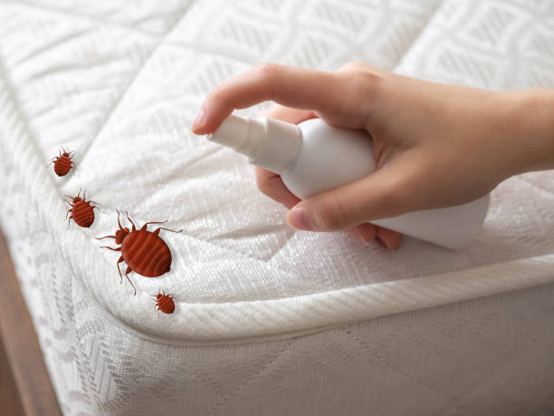 Best Bed Bug Extermination  in Zeeland, MI